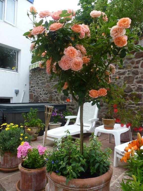 Bayview Guest House Saint Helier Bagian luar foto