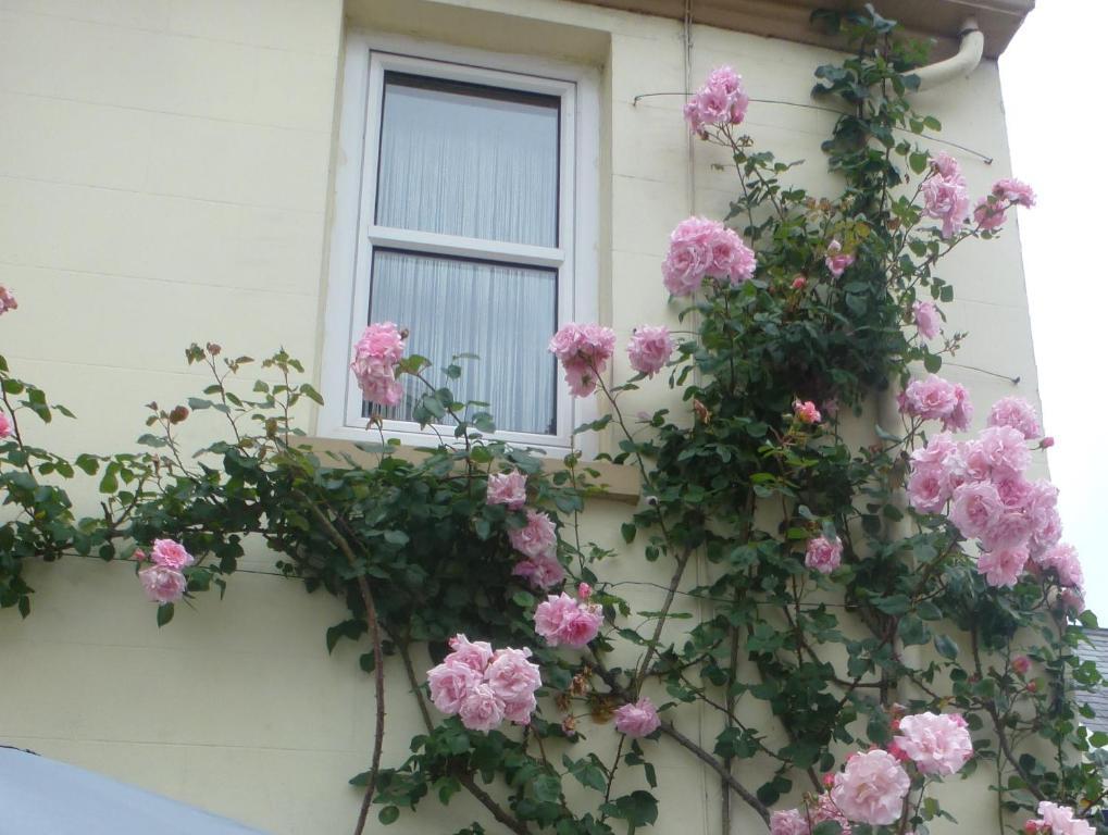 Bayview Guest House Saint Helier Bagian luar foto